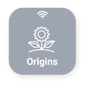 Origins