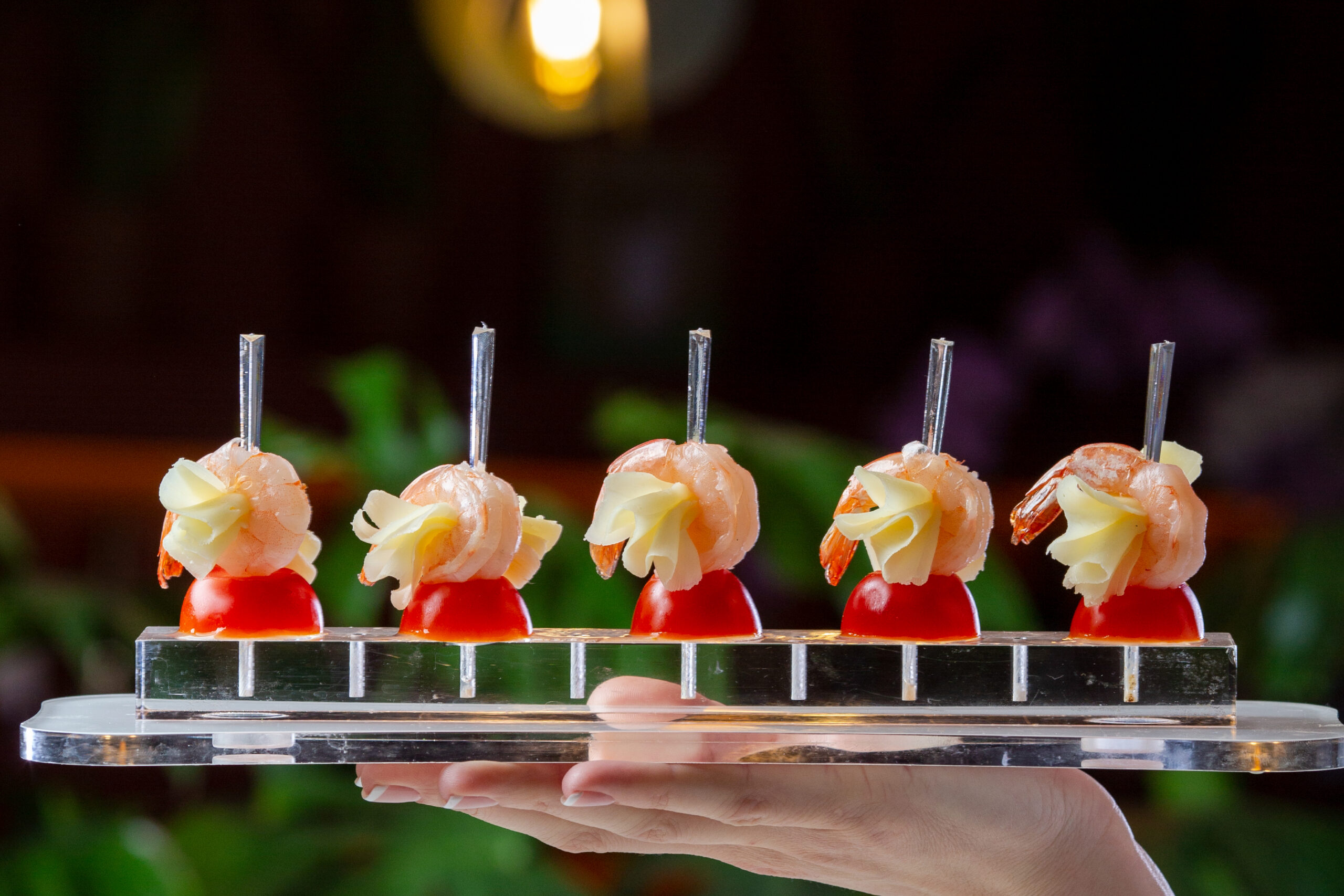 Cadena de frío para Food Service